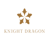 Knight_Dragon